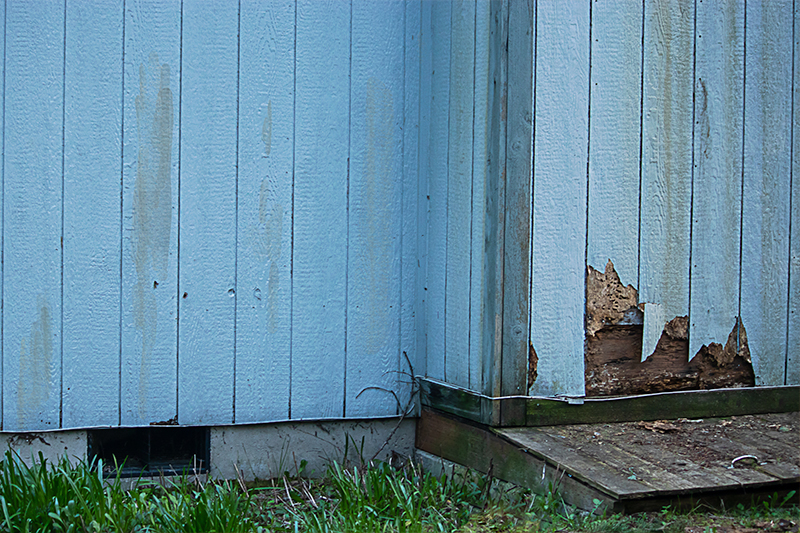 Tratamientos madera Barcelona